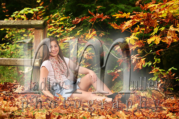 Alicia Romero - Bellingham High School