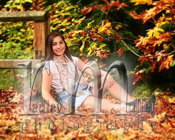 Alicia Romero - Bellingham High School