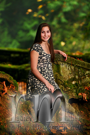 Alicia Romero - Bellingham High School