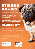 Strike a Paws - Pet Portraits